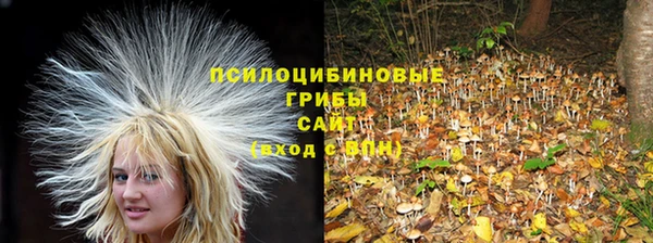 индика Кукмор