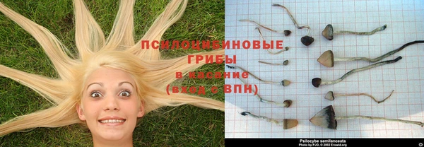 ALPHA PVP Ладушкин